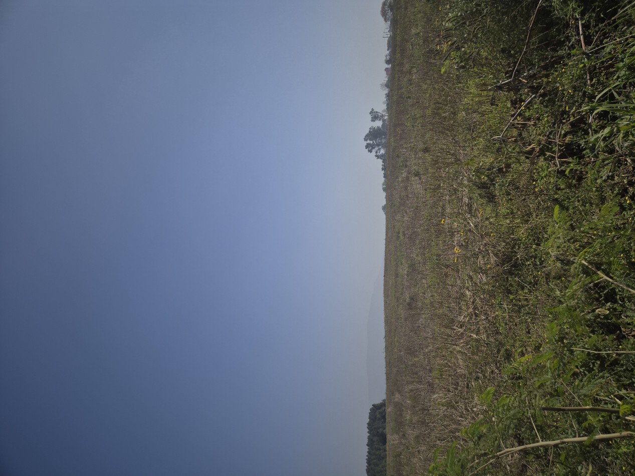 LOTES DESDE 2.500 M2 EN LAS TALITAS SOBRE LA RUTA 