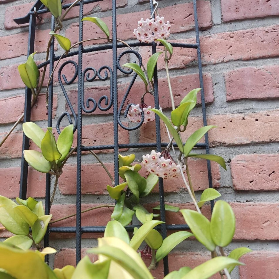 Casa en Country del Golf Viejo apta credito hipotecario