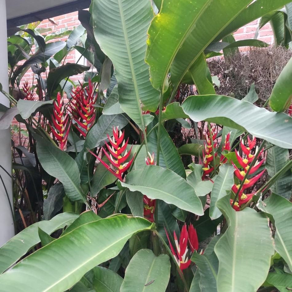 Casa en Country del Golf Viejo apta credito hipotecario