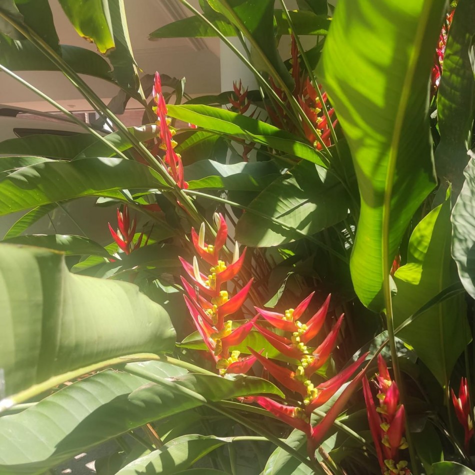 Casa en Country del Golf Viejo apta credito hipotecario