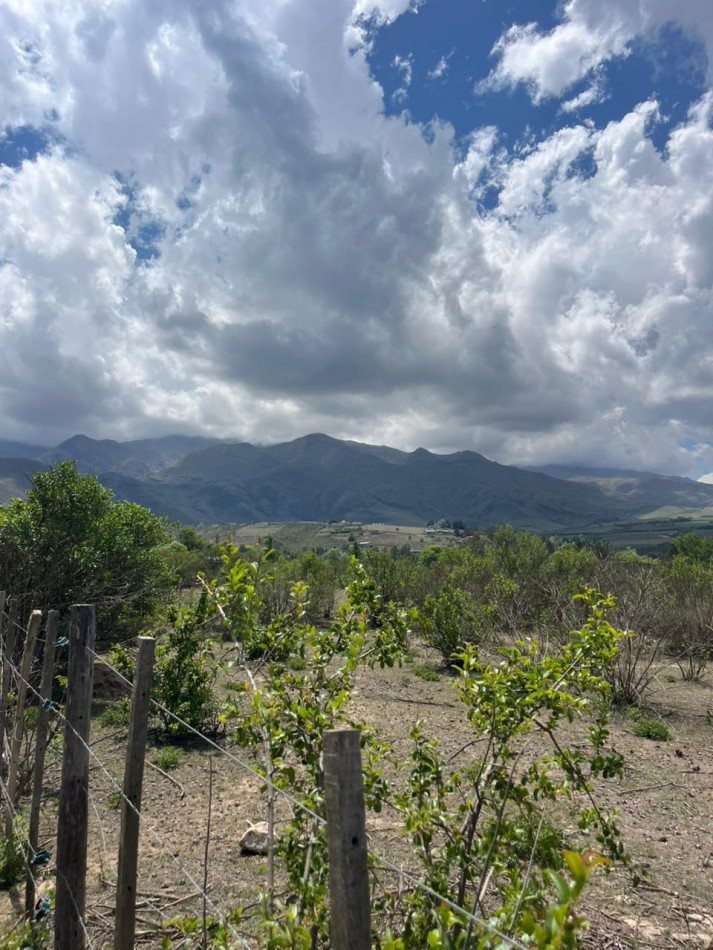 LOTE EN LA OVEJERIA DE 2.500 M2 TODO PLANO HERMOSA VISTA