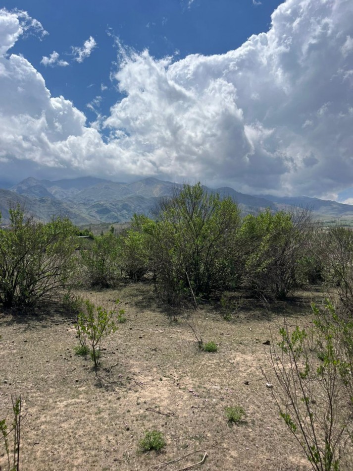 LOTE EN LA OVEJERIA DE 2.500 M2 TODO PLANO HERMOSA VISTA