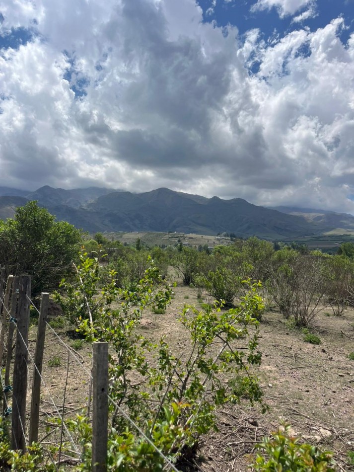 LOTE EN LA OVEJERIA DE 2.500 M2 TODO PLANO HERMOSA VISTA