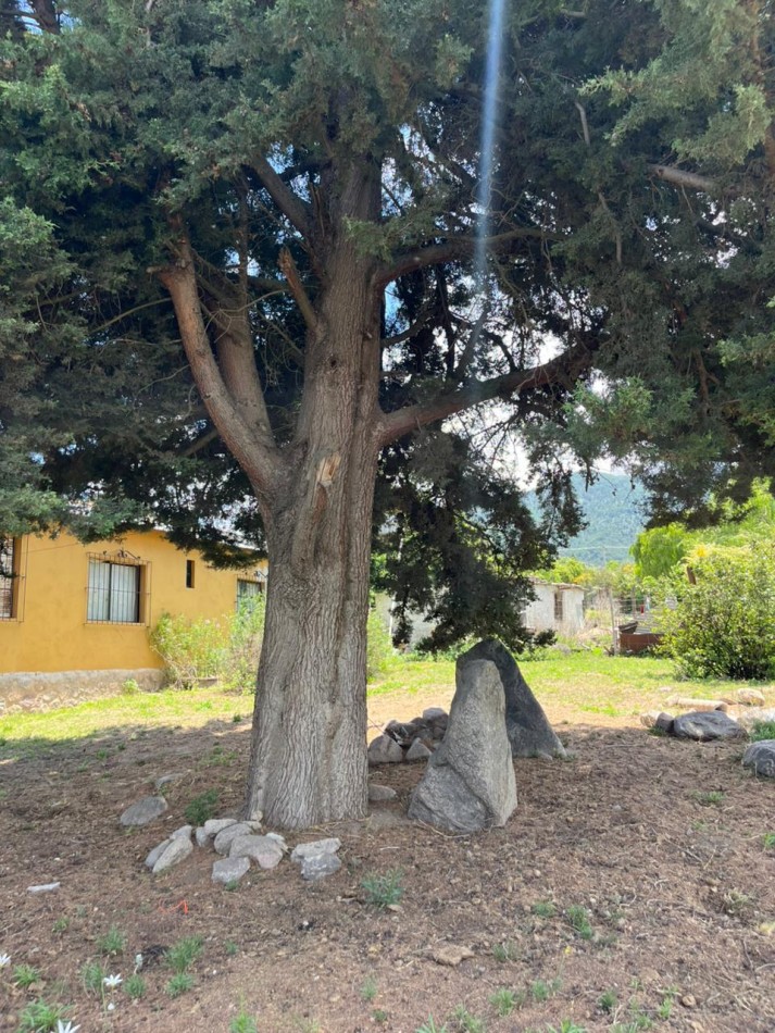CASA EN LOS CUARTOS TAFI DEL VALLE CON AMPLIO TERRENO