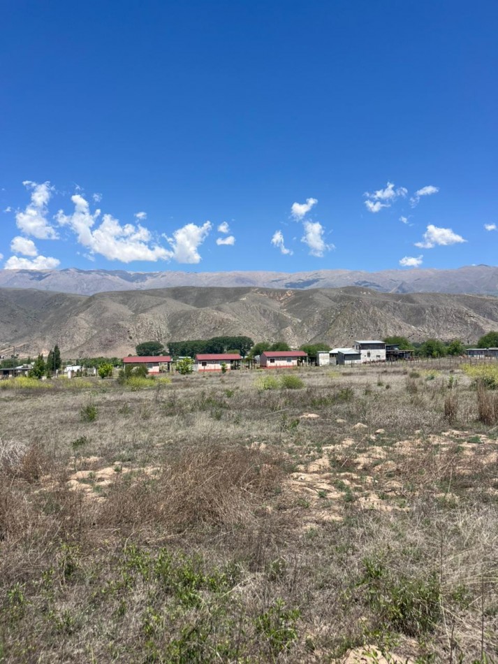 ULTIMOS LOTES EN TAFI DEL VALLE LA ERNESTINA SOBRE LA RUTA 307 APTO COMERCIAL