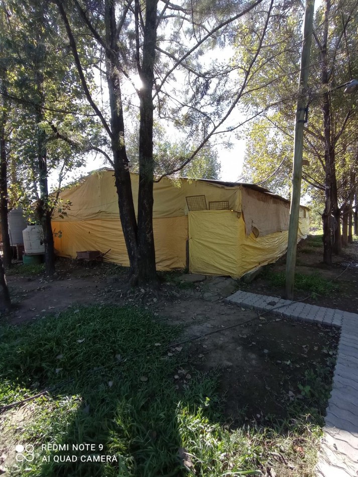 GRANJA AVICOLA PRODUCIENDO EN RUTA PROVINCIAL 305 Y CAMINO DE ALTA GRACIA EN UNA HECTAREA Y MEDIA