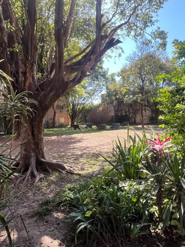 DEPARTAMENTO DE TRES DORMITORIOS APTO CREDITO EN LAVALLE AL 1500