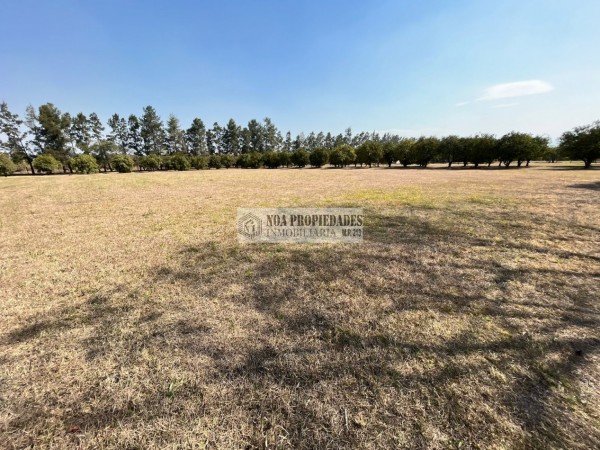 LOTE DE 5.000 M2 EN COUNTRY LAS MORITAS, LAS TALITAS