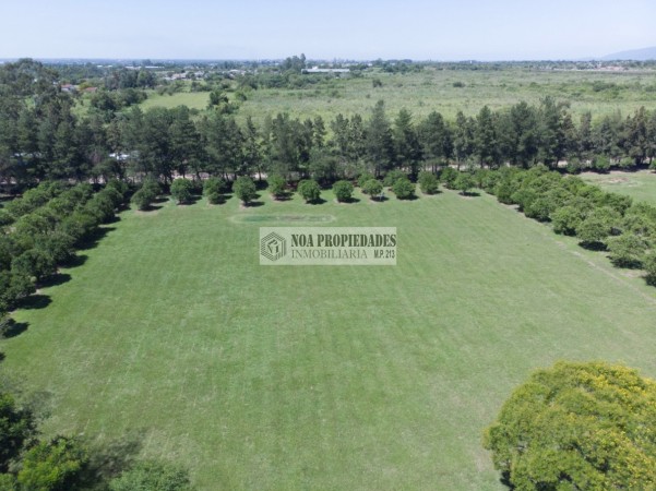 LOTE DE 5.000 M2 EN COUNTRY LAS MORITAS, LAS TALITAS