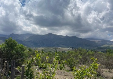 LOTE EN LA OVEJERIA DE 2.500 M2 TODO PLANO HERMOSA VISTA