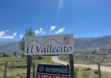 ULTIMOS LOTES LOTEO EL VALLECITO TAFI DEL VALLE
